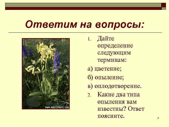 Ответим на вопросы: Дайте определение следующим терминам: а) цветение; б) опыление; в) оплодотворение. 2.