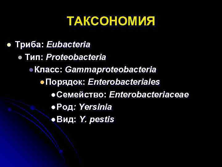 ТАКСОНОМИЯ l Триба: Eubacteria l Тип: Proteobacteria l Класс: Gammaproteobacteria l Порядок: Enterobacteriales l