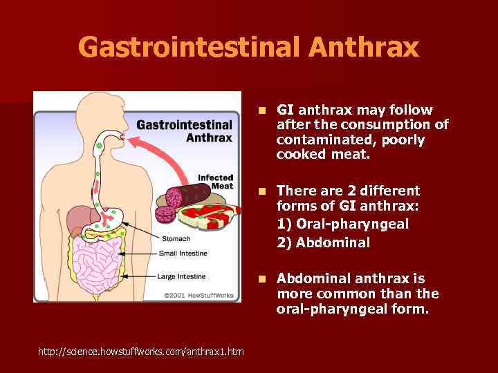 Gastrointestinal Anthrax n n There are 2 different forms of GI anthrax: 1) Oral-pharyngeal