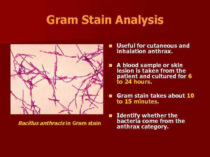 Gram Stain Analysis n n A blood sample or skin lesion is taken from