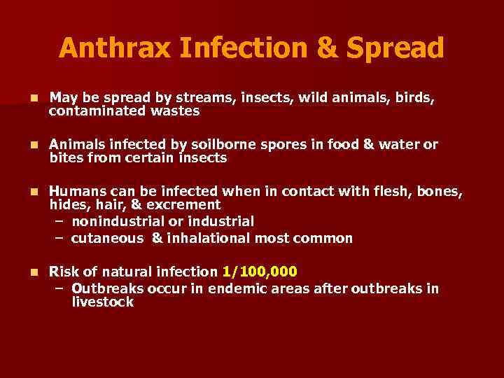Anthrax Infection & Spread n May be spread by streams, insects, wild animals, birds,