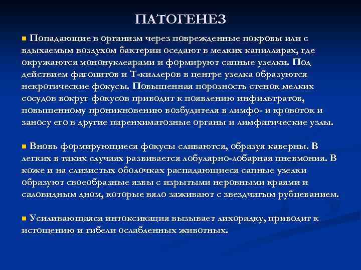 ПАТОГЕНЕЗ Попадающие в организм через поврежденные покровы или с вдыхаемым воздухом бактерии оседают в