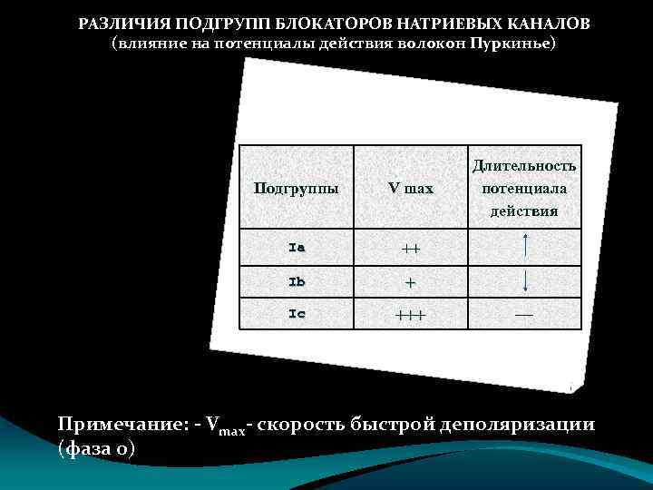 РАЗЛИЧИЯ ПОДГРУПП БЛОКАТОРОВ НАТРИЕВЫХ КАНАЛОВ (влияние на потенциалы действия волокон Пуркинье) Подгруппы V max