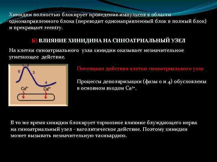 Хинидин полностью блокирует проведение импульсов в области однонаправленного блока (переводит однонаправленный блок в полный