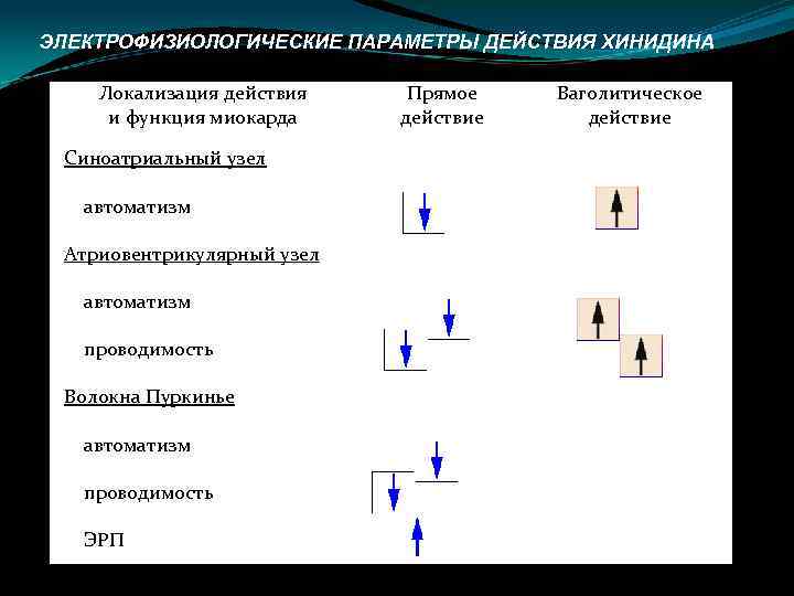 ЭЛЕКТРОФИЗИОЛОГИЧЕСКИЕ ПАРАМЕТРЫ ДЕЙСТВИЯ ХИНИДИНА Локализация действия и функция миокарда Синоатриальный узел автоматизм Атриовентрикулярный узел
