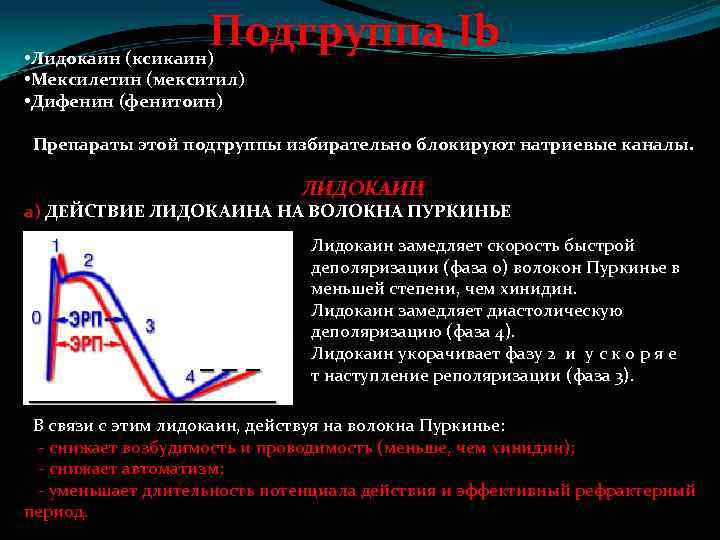 Подгруппа Ib • Лидокаин (ксикаин) • Мексилетин (мекситил) • Дифенин (фенитоин) Препараты этой подгруппы