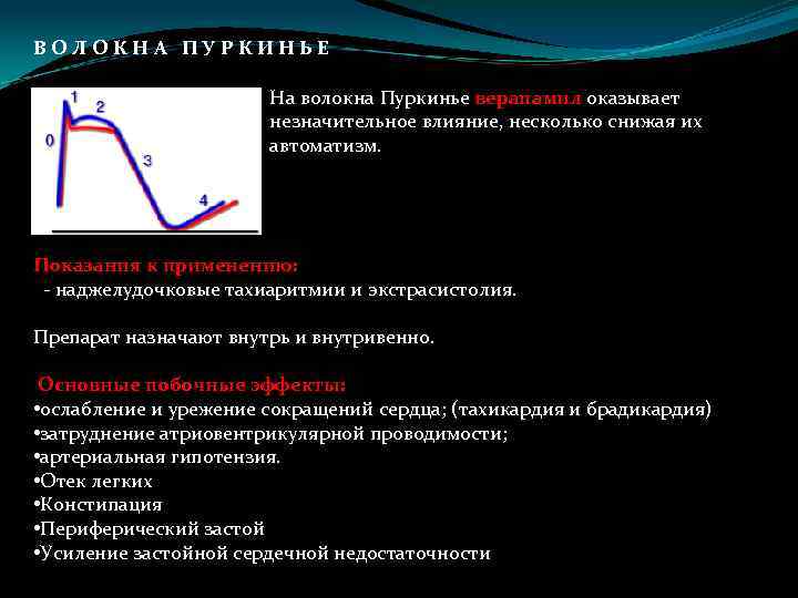 В О Л О К Н А П У Р К И Н Ь