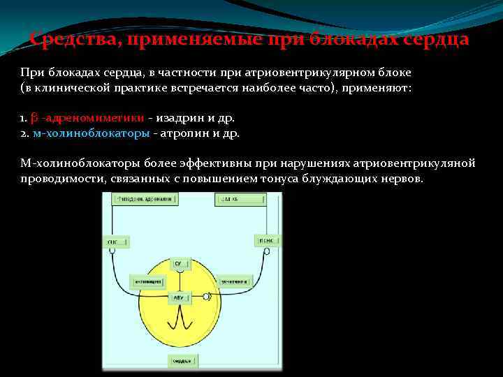 Средства, применяемые при блокадах сердца При блокадах сердца, в частности при атриовентрикулярном блоке (в