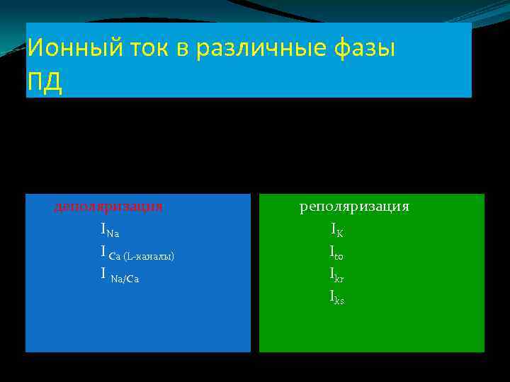 Ионный ток в различные фазы ПД деполяризация INa I Ca (L-каналы) I Na/Ca реполяризация