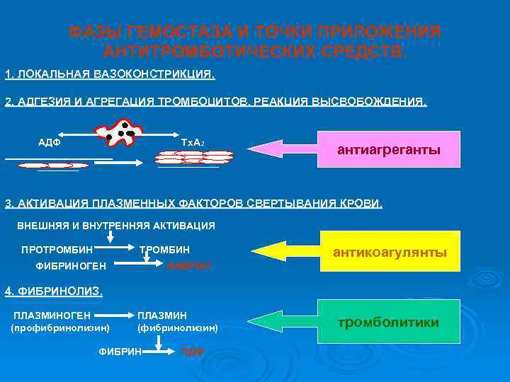 ФАЗЫ ГЕМОСТАЗА И ТОЧКИ ПРИЛОЖЕНИЯ АНТИТРОМБОТИЧЕСКИХ СРЕДСТВ. 1. ЛОКАЛЬНАЯ ВАЗОКОНСТРИКЦИЯ. 2. АДГЕЗИЯ И АГРЕГАЦИЯ