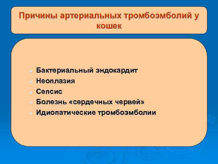 Причины артериальных тромбоэмболий у кошек l l l Бактериальный эндокардит Неоплазия Сепсис Болезнь «сердечных