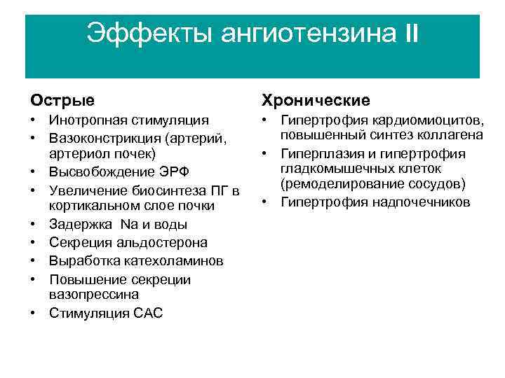 Эффекты ангиотензина II Острые Хронические • Инотропная стимуляция • Вазоконстрикция (артерий, артериол почек) •