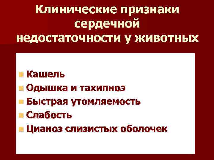 Клинические признаки сердечной недостаточности у животных n Кашель n Одышка и тахипноэ n Быстрая