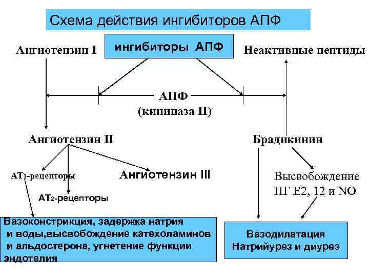 Схема действия ингибиторов АПФ Ангиотензин I ингибиторы АПФ Неактивные пептиды АПФ (кининаза II) Ангиотензин