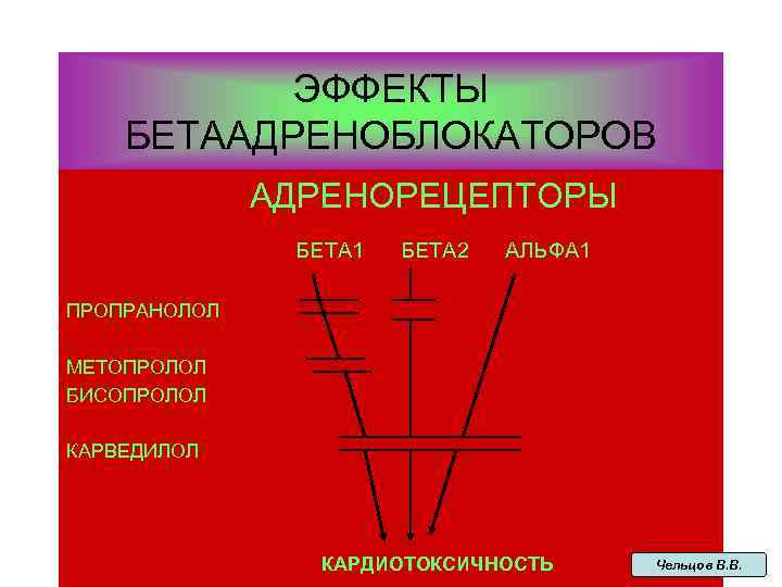 ЭФФЕКТЫ БЕТААДРЕНОБЛОКАТОРОВ АДРЕНОРЕЦЕПТОРЫ БЕТА 1 БЕТА 2 АЛЬФА 1 ПРОПРАНОЛОЛ МЕТОПРОЛОЛ БИСОПРОЛОЛ КАРВЕДИЛОЛ КАРДИОТОКСИЧНОСТЬ