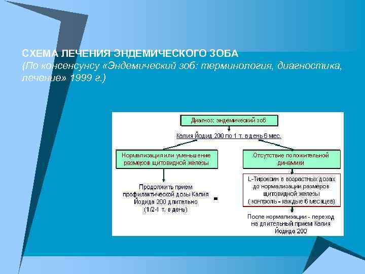 СХЕМА ЛЕЧЕНИЯ ЭНДЕМИЧЕСКОГО ЗОБА (По консенсунсу «Эндемический зоб: терминология, диагностика, лечение» 1999 г. )