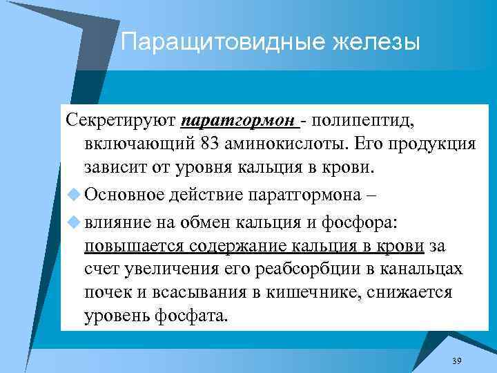 Паращитовидные железы Cекретируют паратгормон полипептид, включающий 83 аминокислоты. Его продукция зависит от уровня кальция