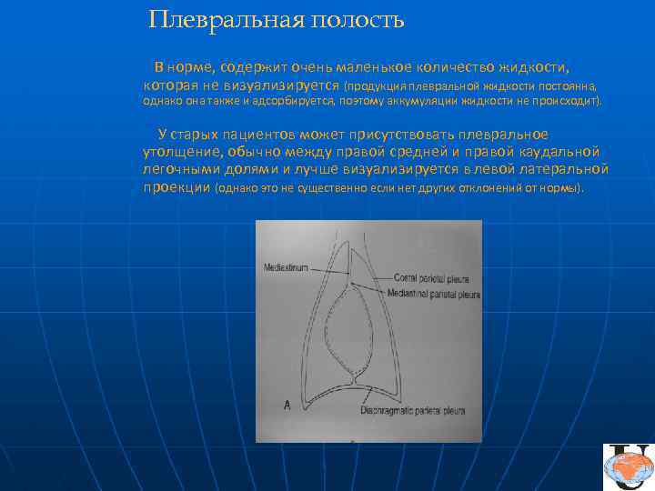 Небольшое количество жидкости