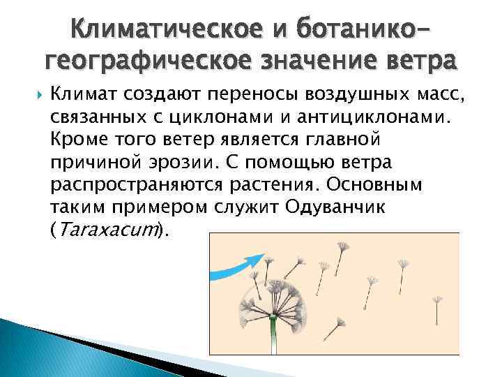 Климатическое и ботаникогеографическое значение ветра Климат создают переносы воздушных масс, связанных с циклонами и