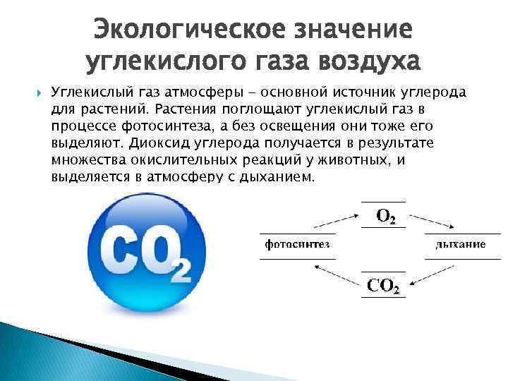 Функция углекислого газа в организме