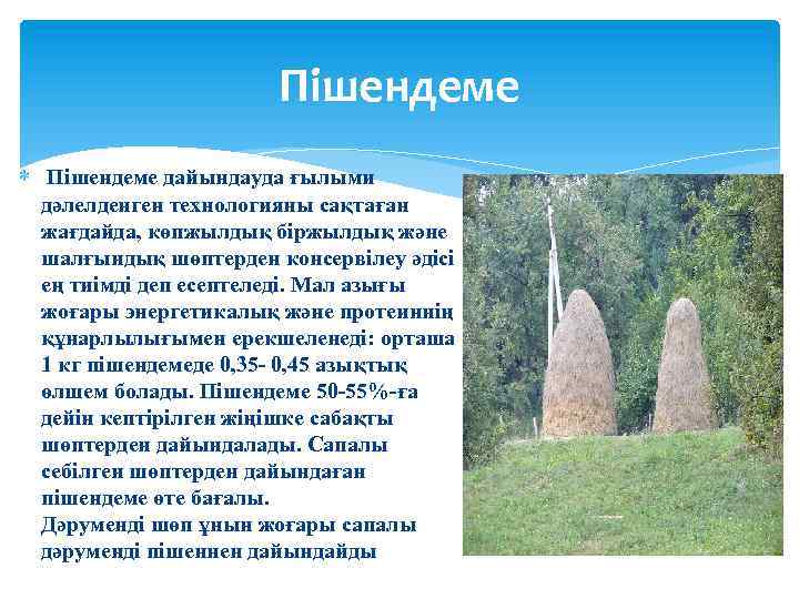 Пішендеме дайындауда ғылыми дәлелденген технологияны сақтаған жағдайда, көпжылдық біржылдық және шалғындық шөптерден консервілеу әдісі