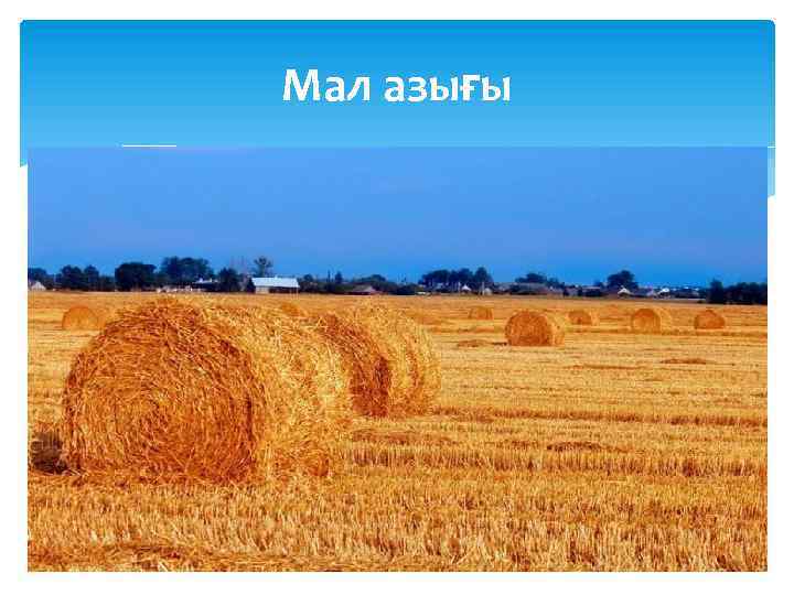 Мал азығы 
