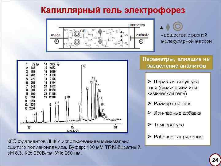 Метод капиллярного электрофореза основные принципы и схемы реализации