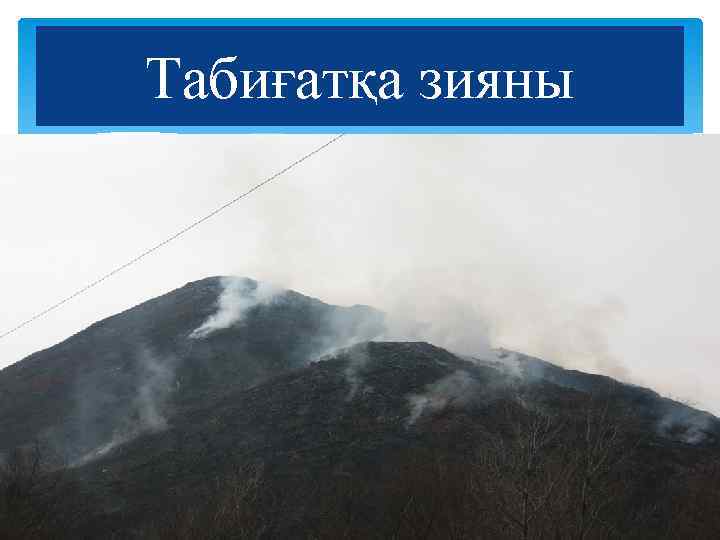 Табиғатқа зияны 