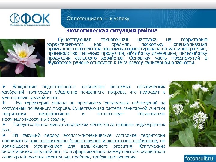 Экологическая ситуация района Существующая техногенная нагрузка на территорию характеризуется как средняя, поскольку специализация промышленного