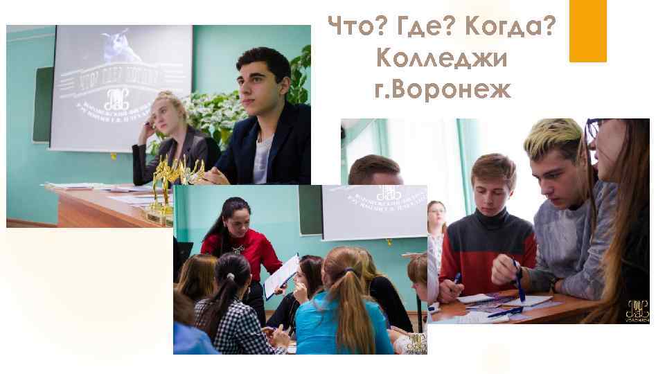Что? Где? Когда? Колледжи г. Воронеж 