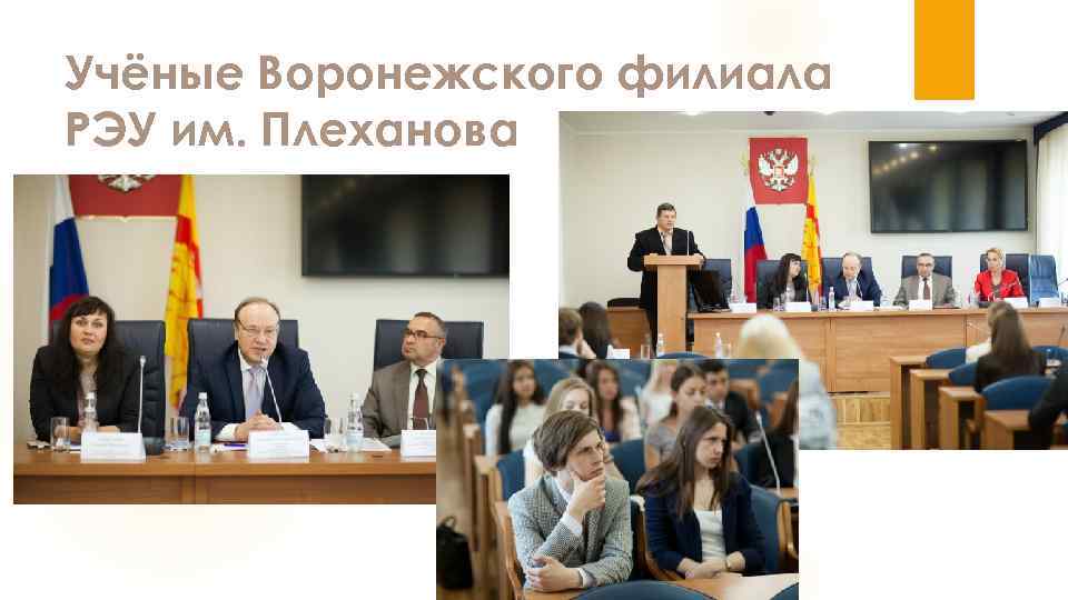 Учёные Воронежского филиала РЭУ им. Плеханова 