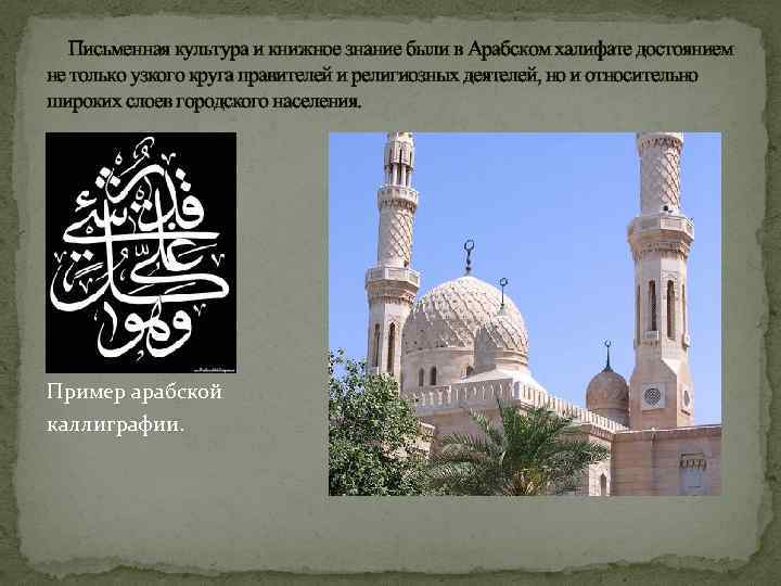 Письменная культура и книжное знание были в Арабском халифате достоянием не только узкого круга