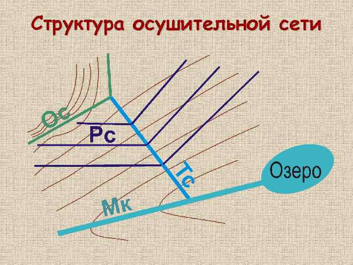 Структура осушительной сети 