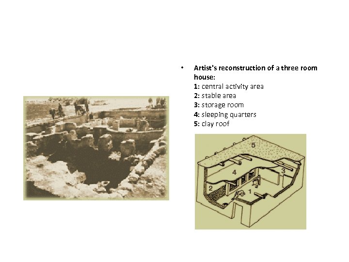 • Artist's reconstruction of a three room house: 1: central activity area 2: