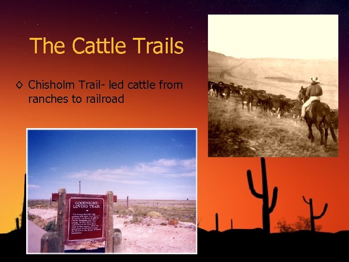 The Cattle Trails ◊ Chisholm Trail- led cattle from ranches to railroad 