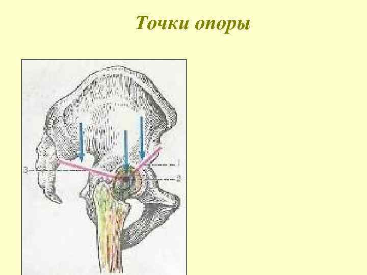 Точки опоры 