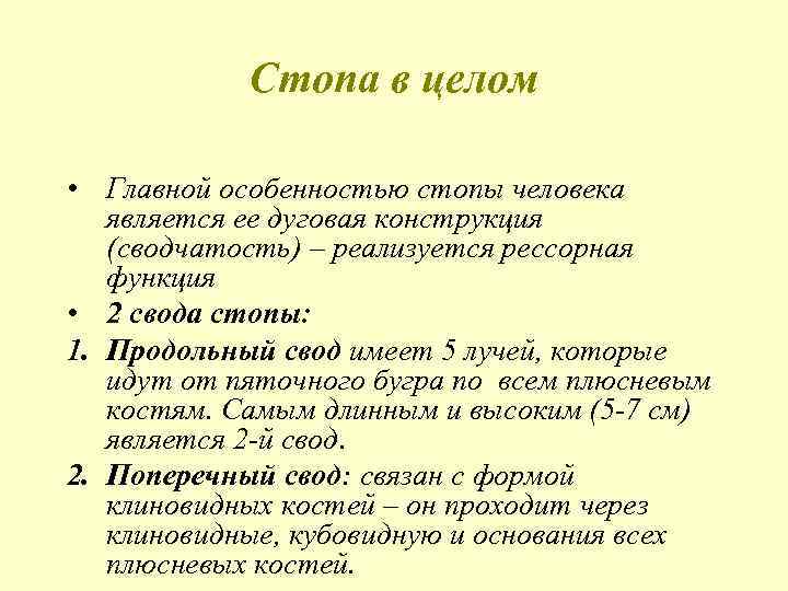 Стопа в целом • Главной особенностью стопы человека является ее дуговая конструкция (сводчатость) –