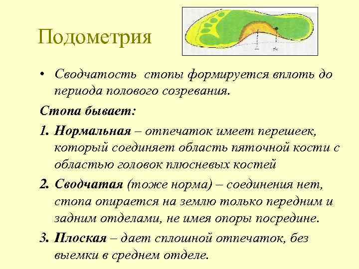 Подометрия • Сводчатость стопы формируется вплоть до периода полового созревания. Стопа бывает: 1. Нормальная
