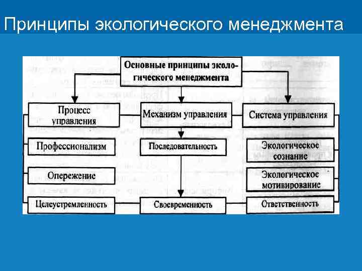 Принципы экологического менеджмента Заголовок Цифровая 3 D-медицина Подзаголовок презентации Результаты в области компьютерной графики