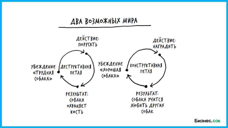 Бизнес. сок 