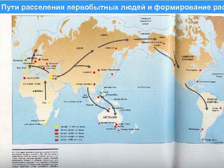 Пути расселения первобытных людей и формирование рас 