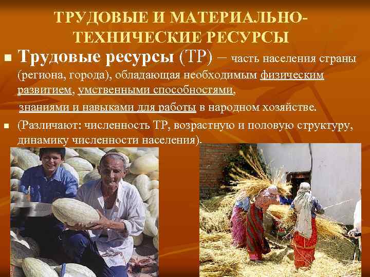 ТРУДОВЫЕ И МАТЕРИАЛЬНОТЕХНИЧЕСКИЕ РЕСУРСЫ n n Трудовые ресурсы (ТР) – часть населения страны (региона,