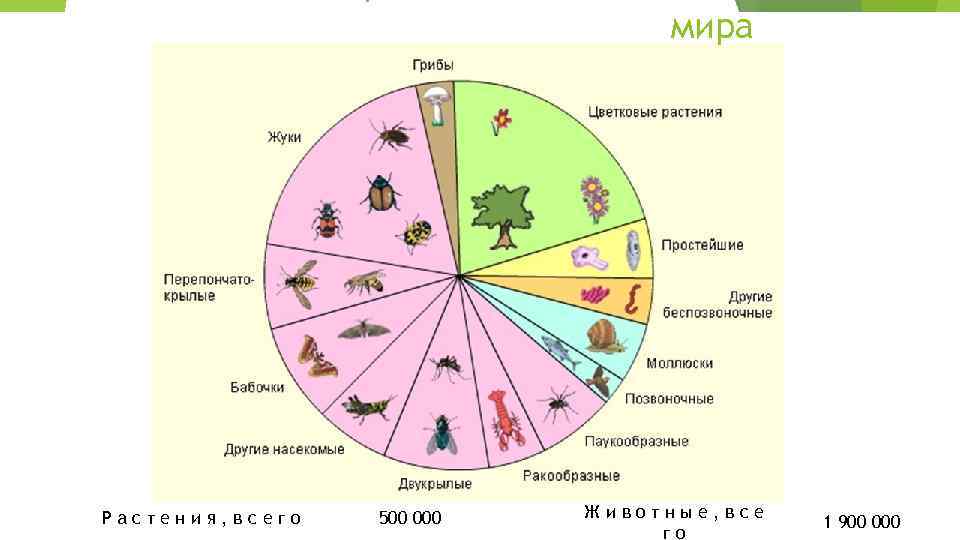 мира Растения, всего 500 000 Животные, все го 1 900 000 