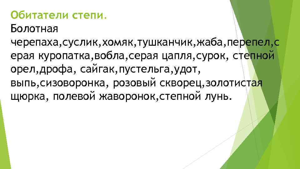 Обитатели степи. Болотная черепаха, суслик, хомяк, тушканчик, жаба, перепел, с ерая куропатка, вобла, серая