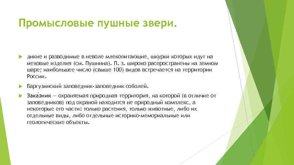 Промысловые пушные звери. дикие и разводимые в неволе млекопитающие, шкурки которых идут на меховые