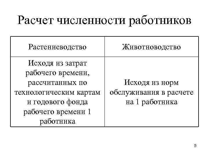 Расчет численности работников Растениеводство Животноводство Исходя из затрат рабочего времени, рассчитанных по технологическим картам