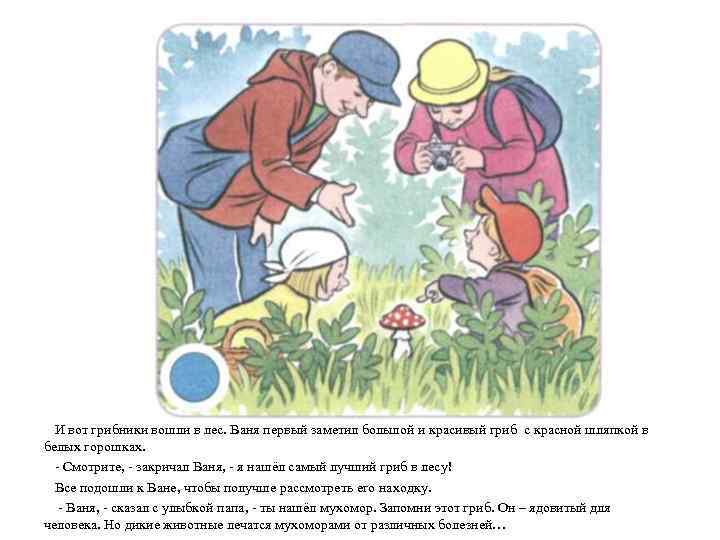 И вот грибники вошли в лес. Ваня первый заметил большой и красивый гриб с
