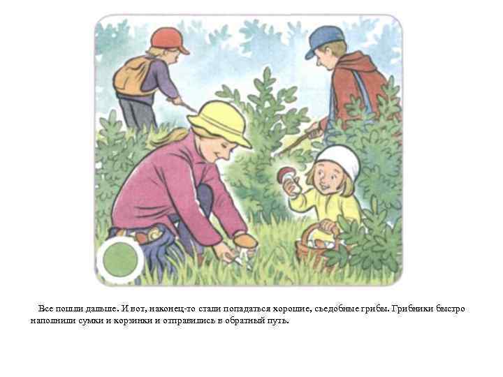 Все пошли дальше. И вот, наконец-то стали попадаться хорошие, съедобные грибы. Грибники быстро наполнили