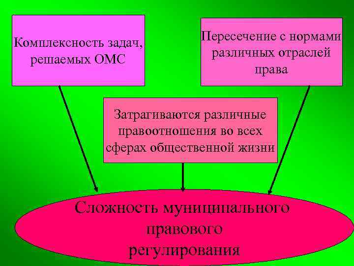 Комплексность задач, решаемых ОМС Пересечение с нормами различных отраслей права Затрагиваются различные правоотношения во