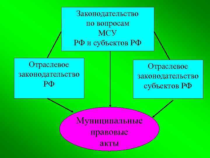  Законодательство по вопросам МСУ РФ и субъектов РФ Отраслевое законодательство субъектов РФ Муниципальные